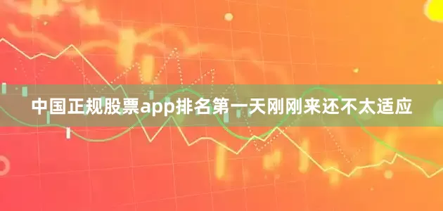 中国正规股票app排名第一天刚刚来还不太适应